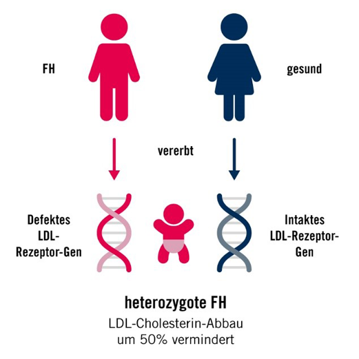 heterozygote